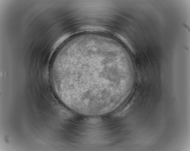 X0000097481074200803141930