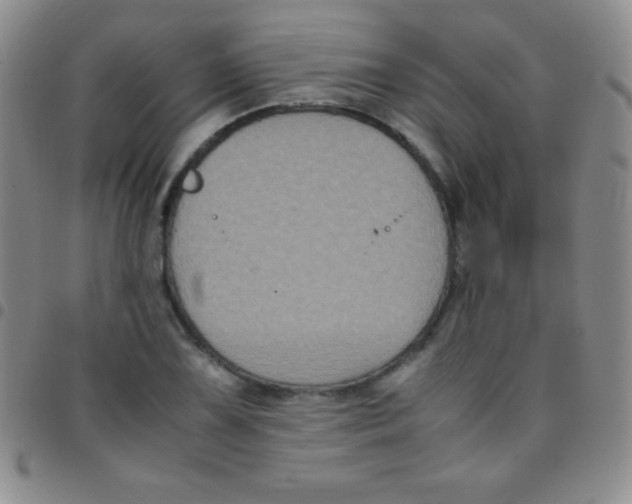 X0000097481075200803141930