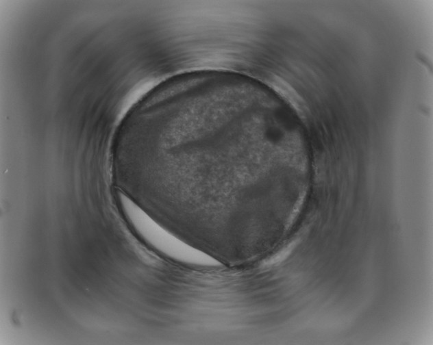 X0000097481077200803141930