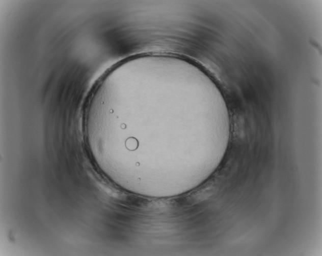 X0000097481078200803141930