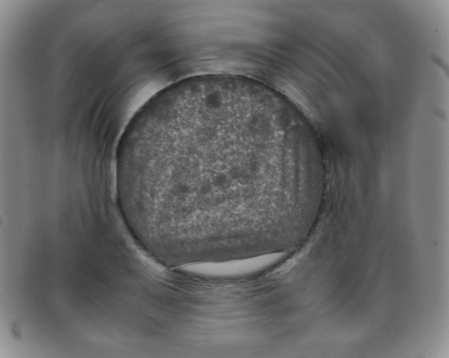 X0000097481079200803141930