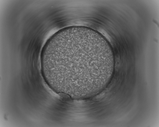 X0000097481080200803141929