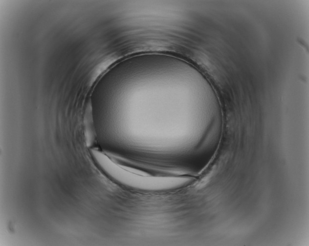 X0000097481081200803141929