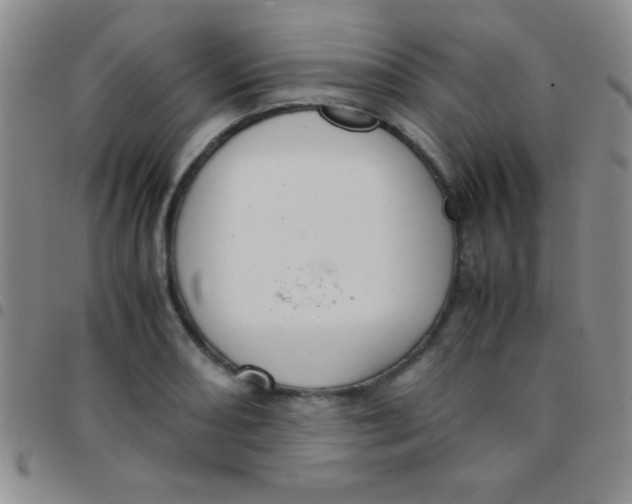 X0000097481082200803141929