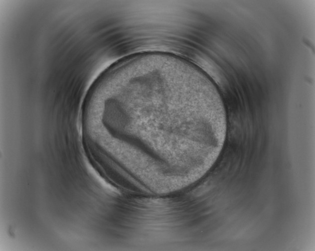 X0000097481084200803141929