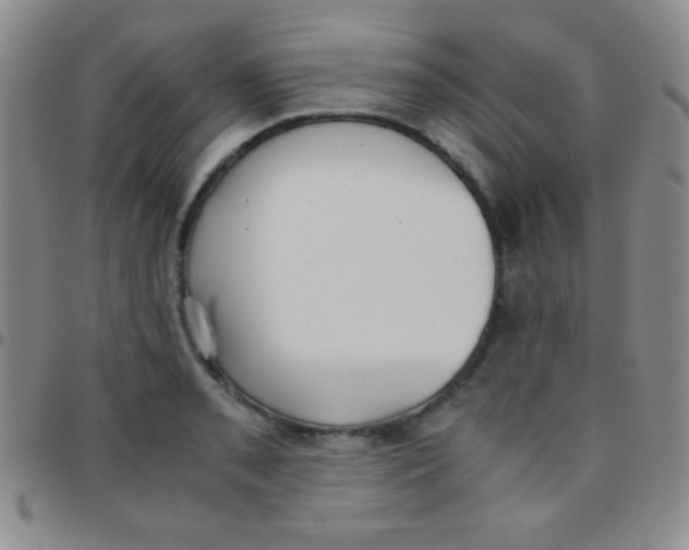 X0000097481085200803141929