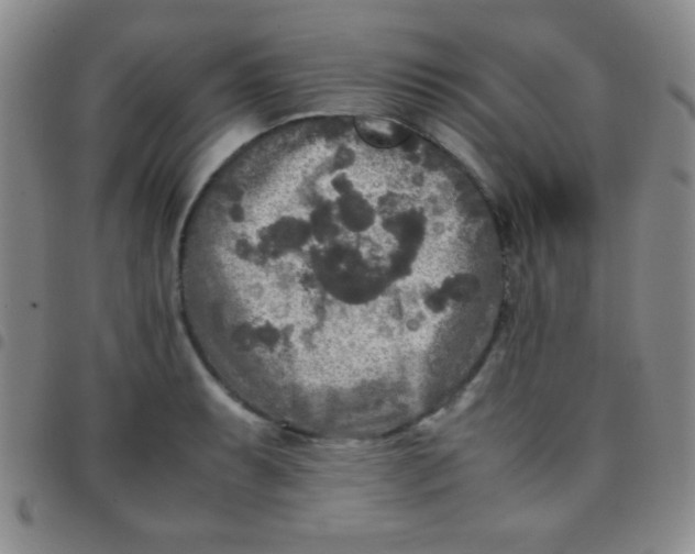 X0000097481087200803141929