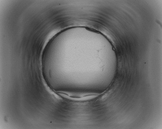 X0000097481088200803141929