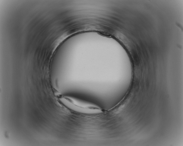 X0000097481089200803141929