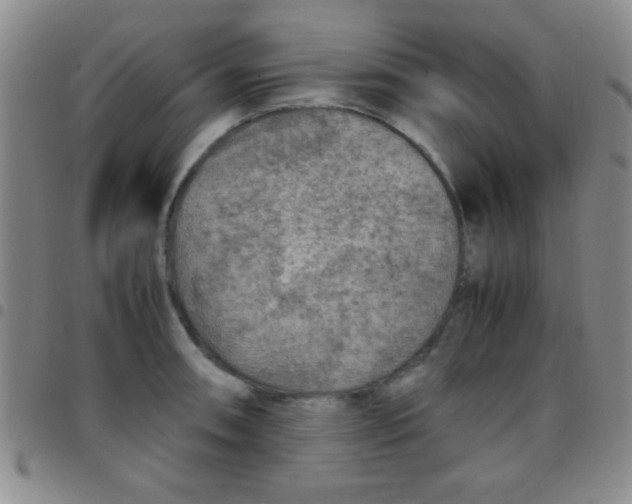 X0000097481090200803141929