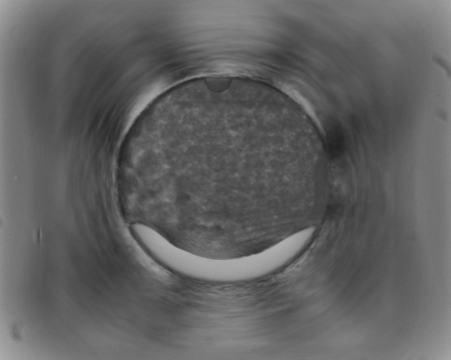 X0000097481091200803141929