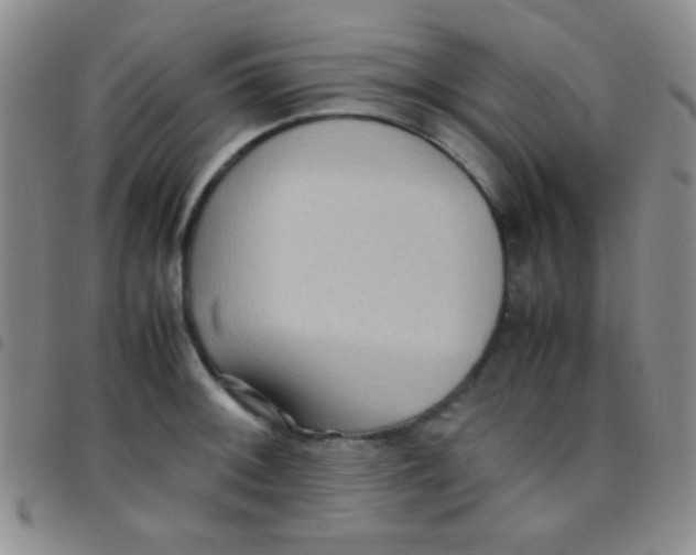 X0000097481092200803141929