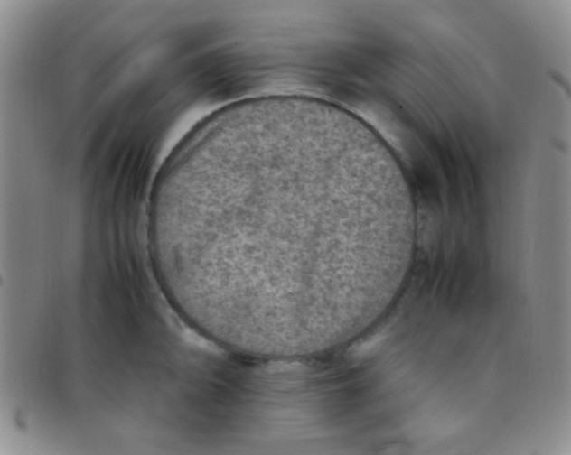 X0000097481094200803141929