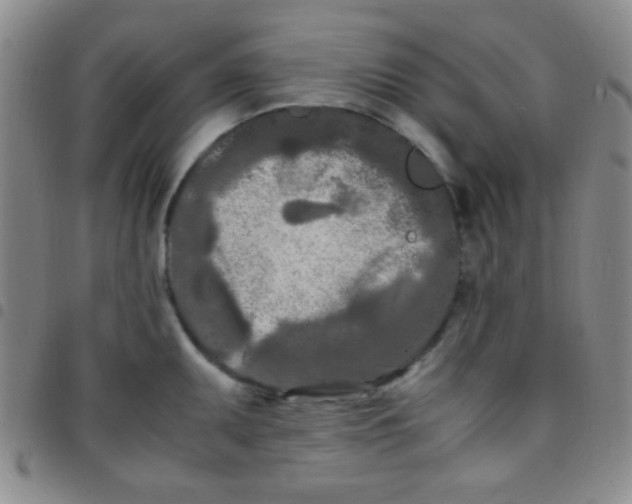 X0000097481095200803141929