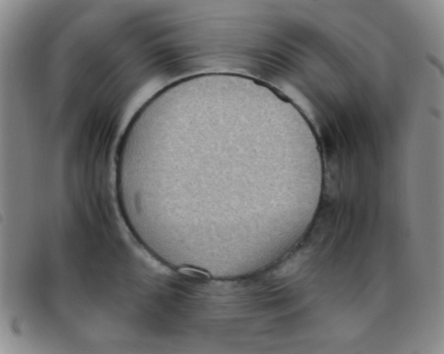 X0000097481096200803141929