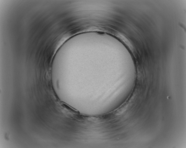 X0000097481097200803141929