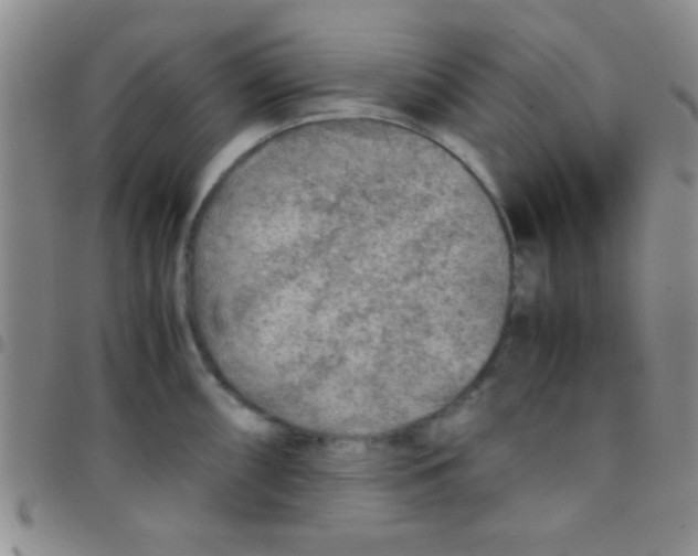 X0000097481098200803141929