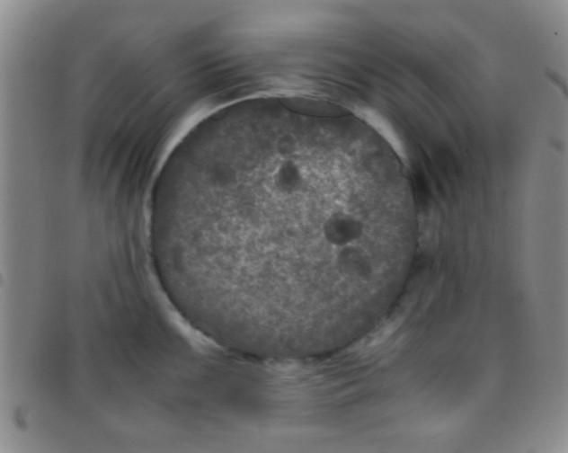 X0000097481099200803141929