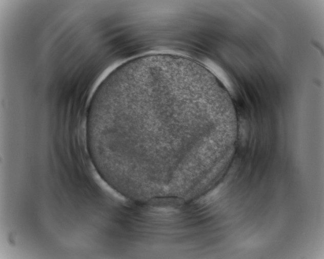 X0000097481100200803141929