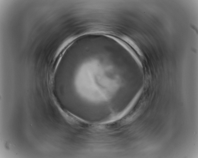 X0000097481101200803141929