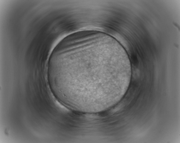 X0000097481102200803141929