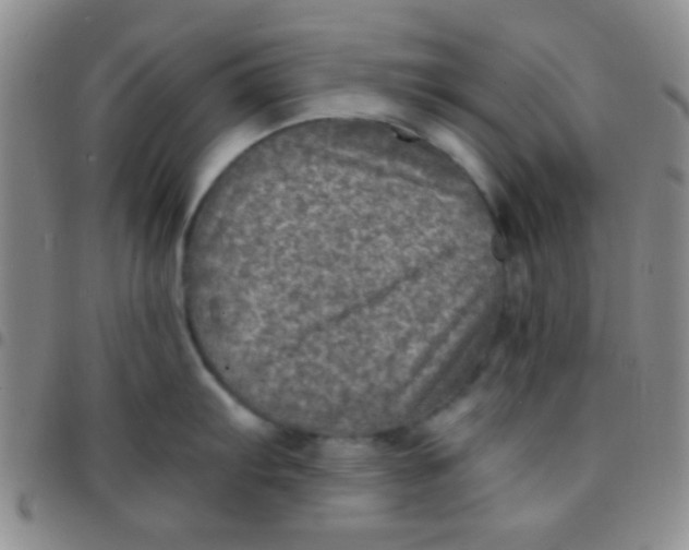 X0000097481103200803141929