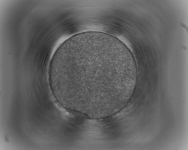 X0000097481104200803141929