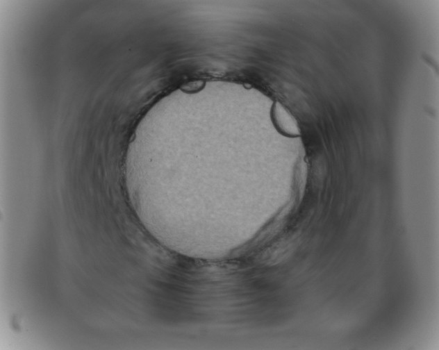 X0000097481105200803141929