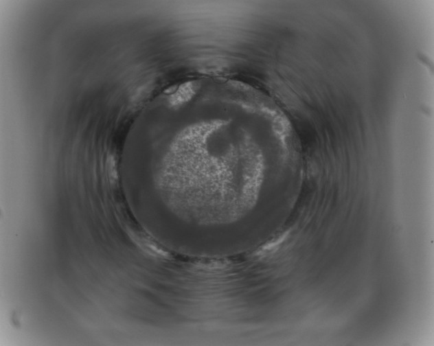 X0000097481106200803141929