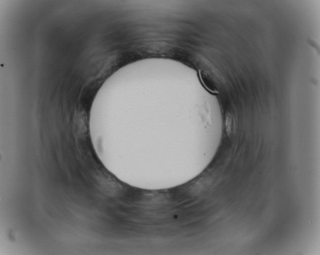 X0000097481107200803141929