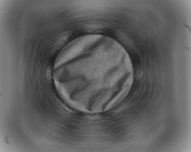 X0000097481108200803141929