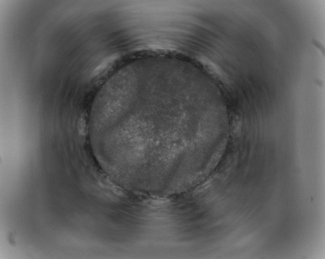 X0000097481110200803141929