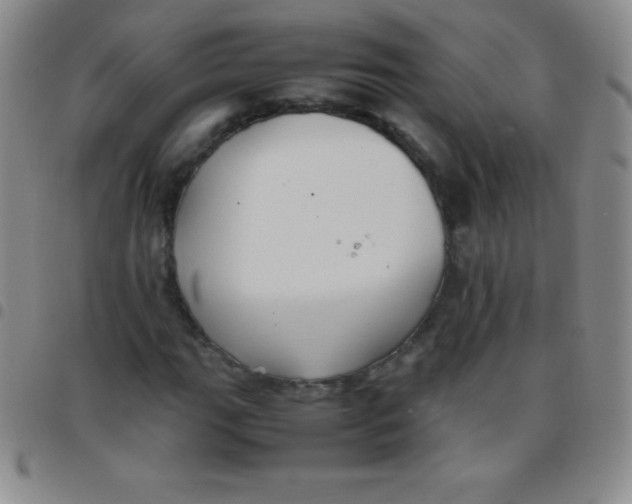 X0000097481111200803141929