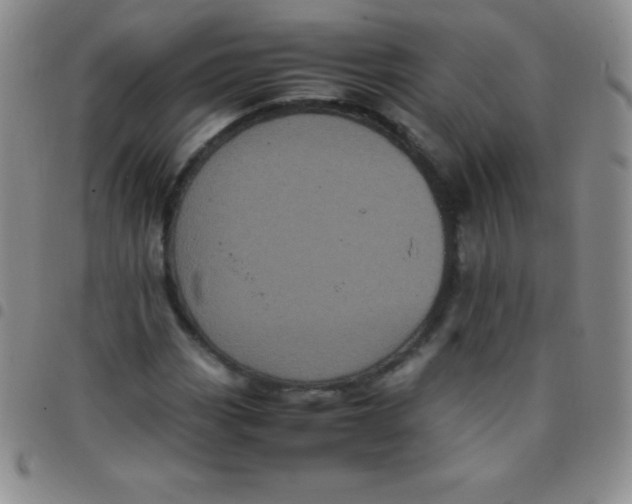 X0000097481113200803141929