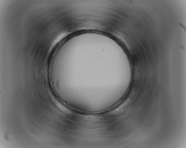 X0000097481114200803141929