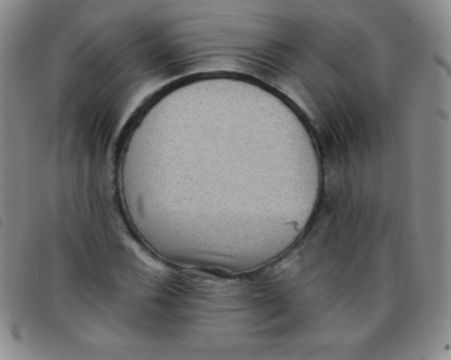 X0000097481116200803141929