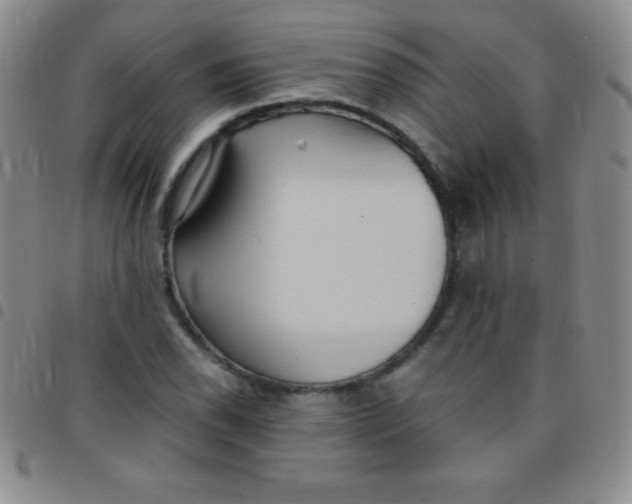 X0000097481118200803141929