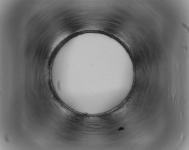 X0000097481119200803141929