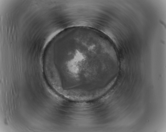 X0000097481120200803141929