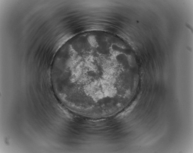 X0000097481121200803141929