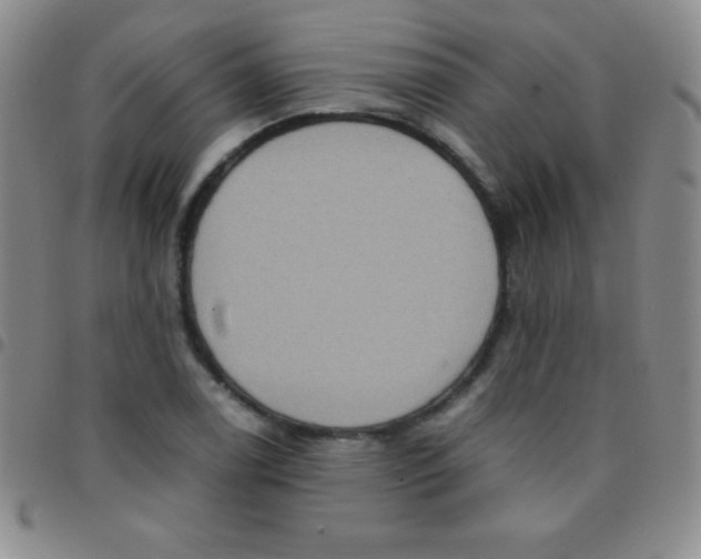 X0000097481122200803141929