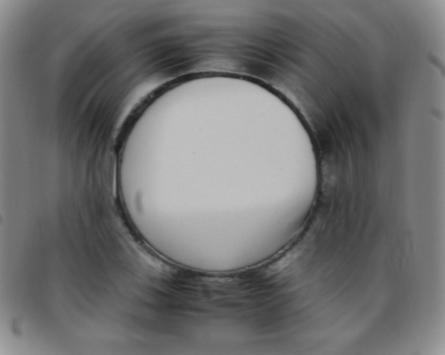 X0000097481123200803141929