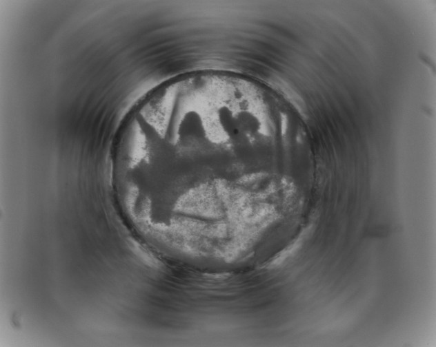 X0000097481125200803141929