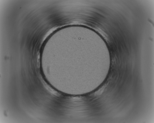 X0000097481126200803141929