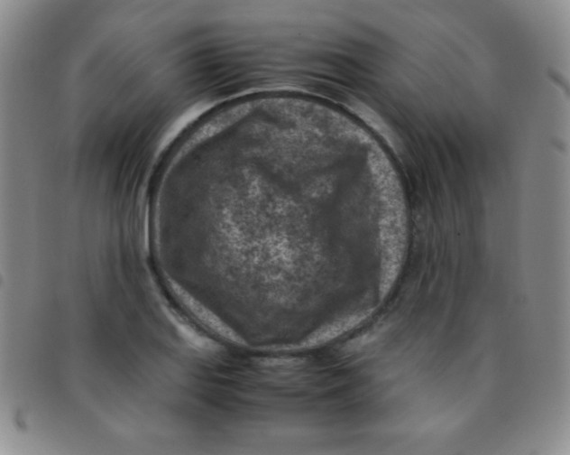 X0000097481127200803141929