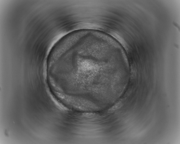 X0000097481128200803141929