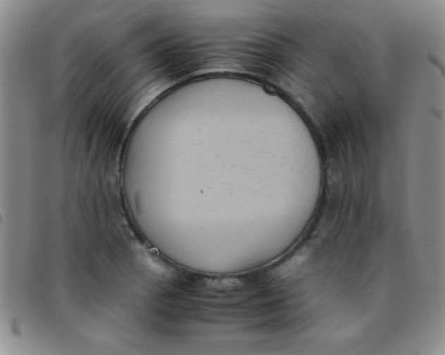 X0000097481129200803141929