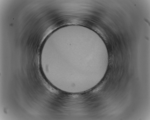 X0000097481130200803141929