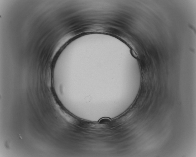 X0000097481131200803141929