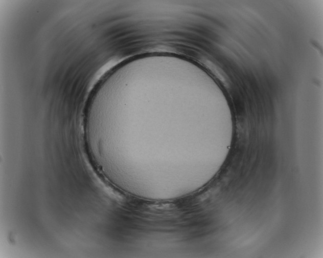 X0000097481133200803141929